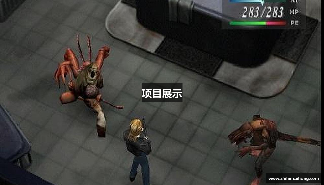 项目展示